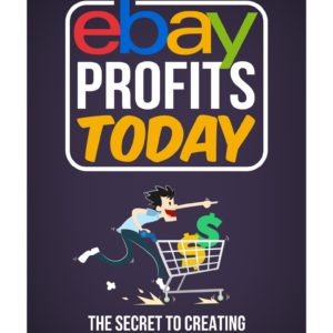 Ebay Profits